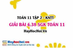 Bài 6.38 SGK Toán 11 Tập 2 Kết nối tri thức